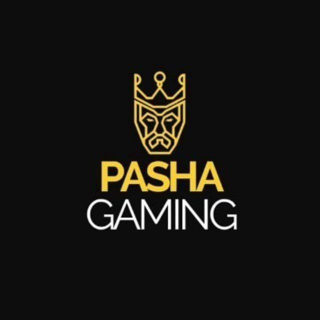 Pashagaming Logosu